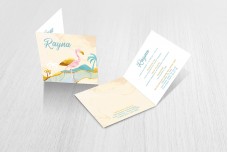 Tropische flamingo Tropische flamingo